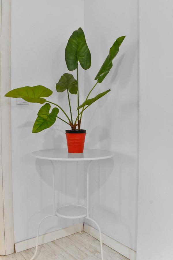 Homestay Otopeni Esterno foto